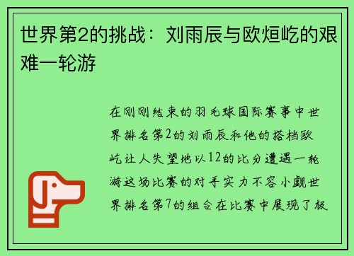 世界第2的挑战：刘雨辰与欧烜屹的艰难一轮游